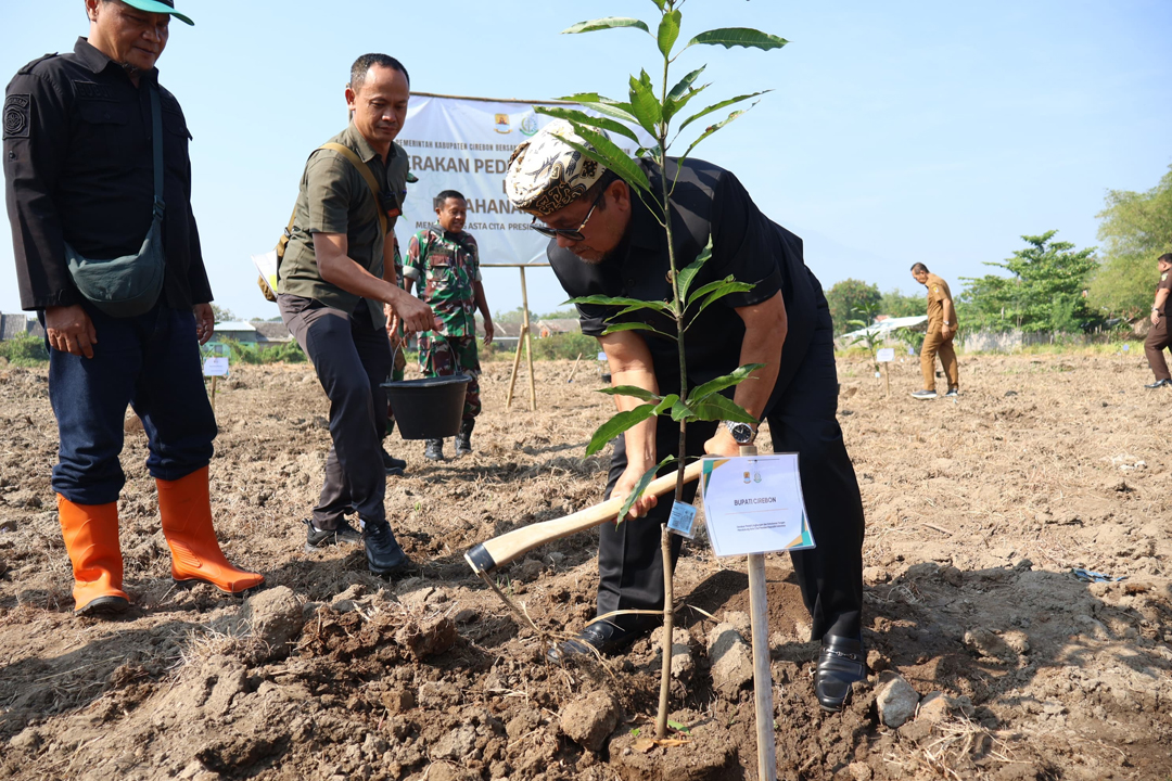 Jaga Lingkungan, Pemkab Cirebon Tanam Ratusan Pohon di Kelurahan Pasalakan