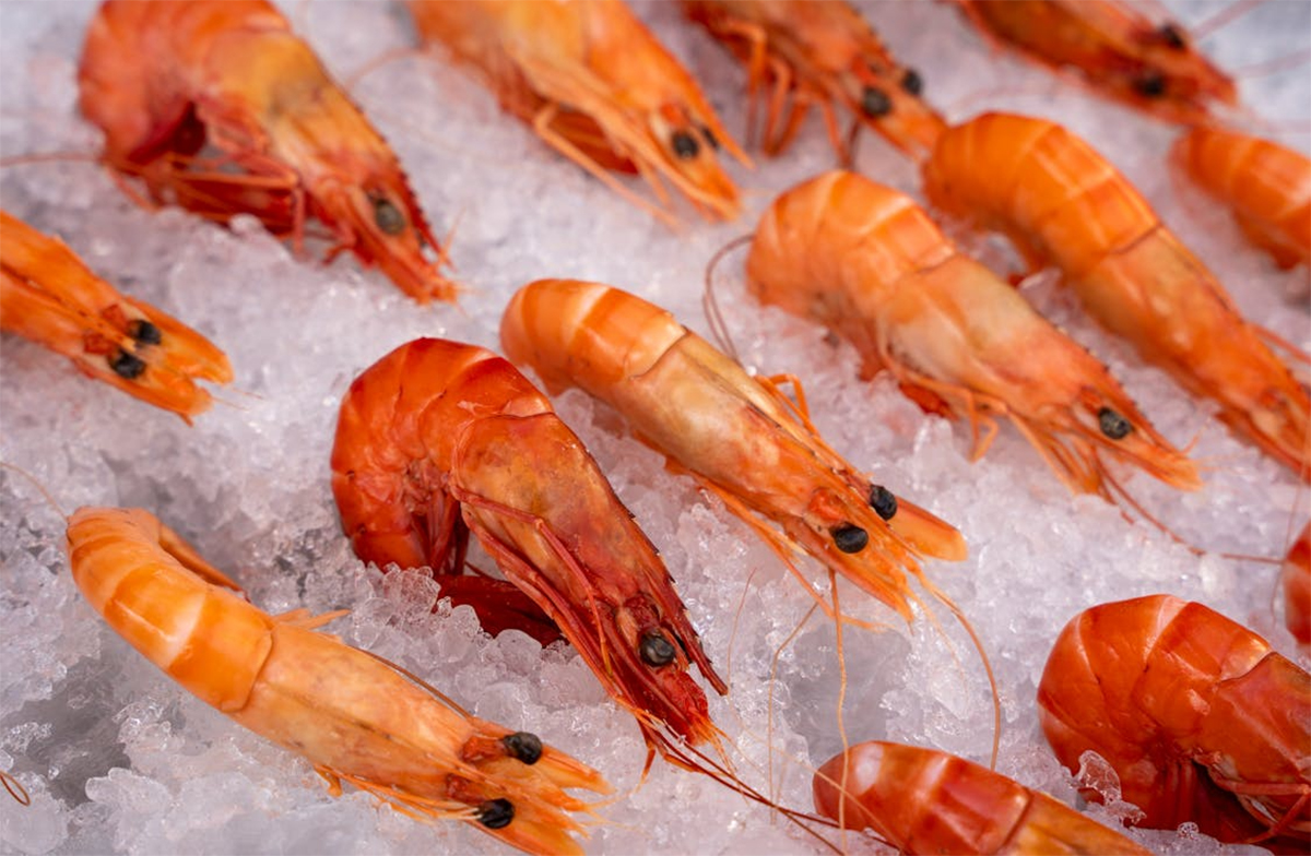 Kuliner Khas Cirebon, Ini Dia 7 Makanan Olahan Udang yang Cocok Dijadikan Oleh-oleh