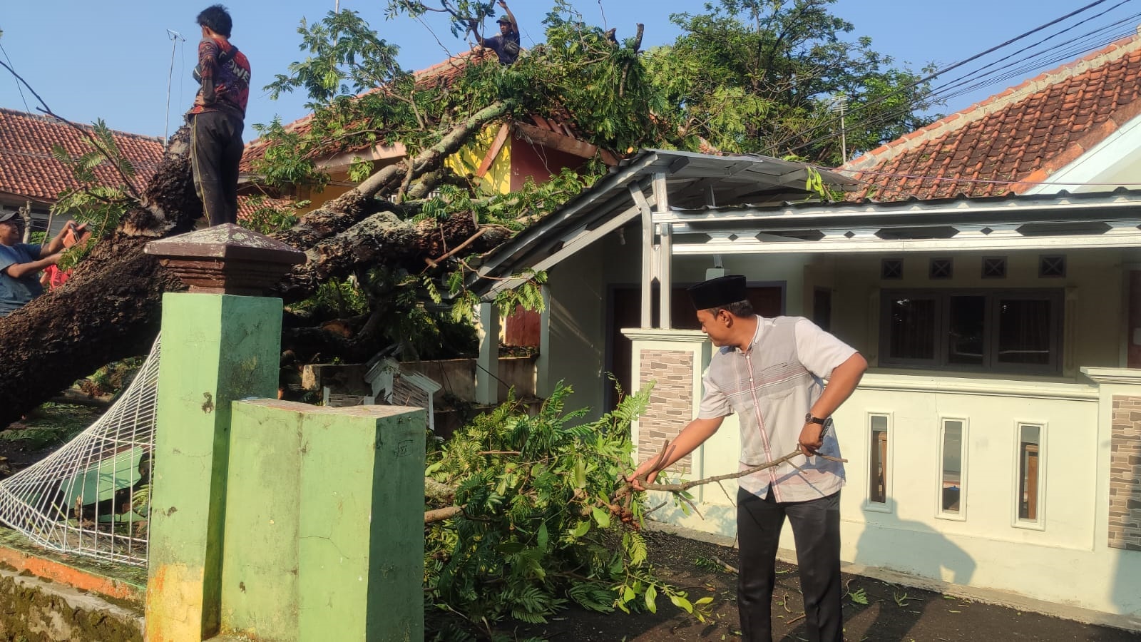 Pohon Tumbang Timpa 2 Rumah di Desa Sindangkasih Kecamatan Beber