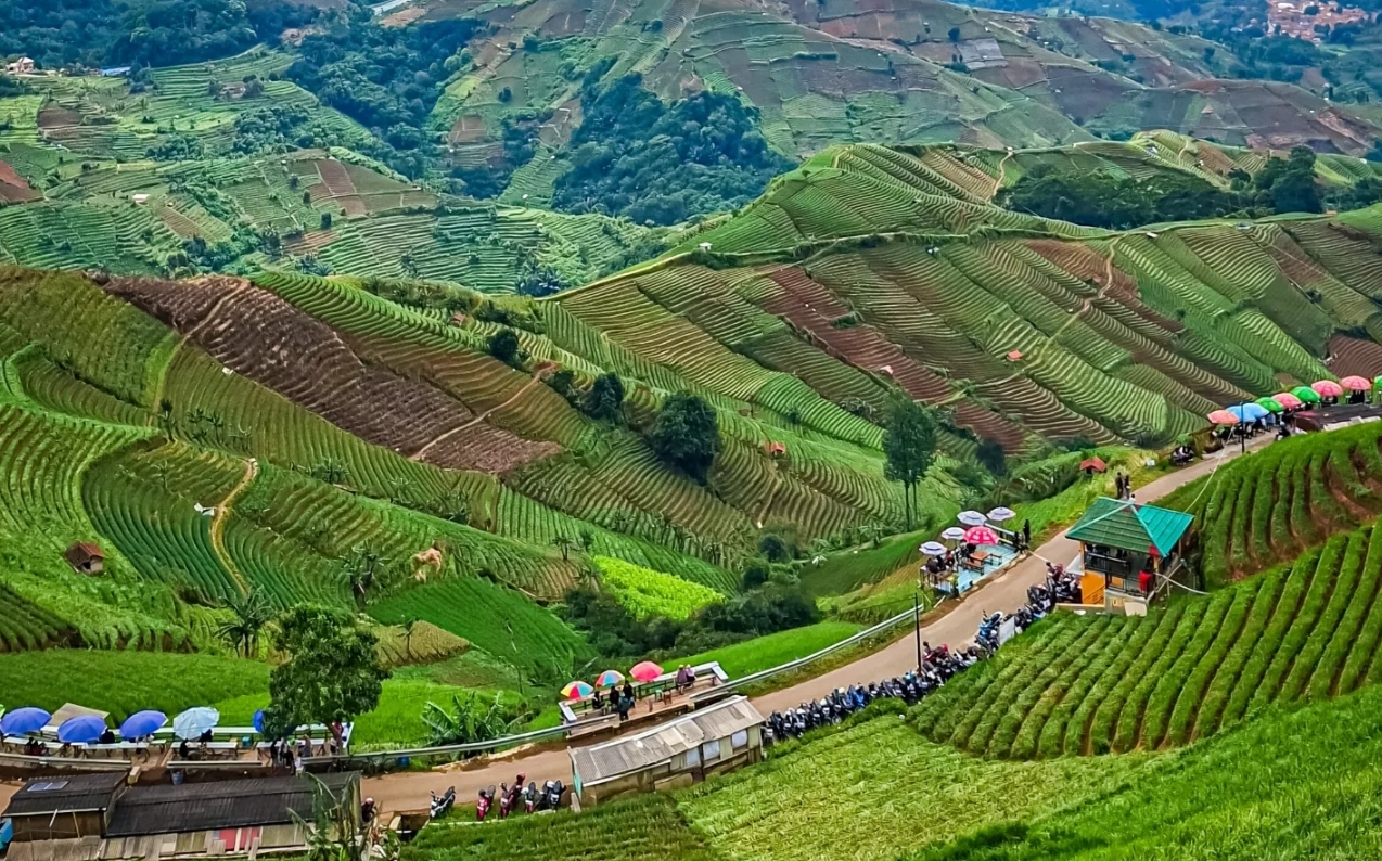 8 Tempat Wisata Majalengka Bareng Keluarga, Pemandangannya Indah & Bikin Liburan Makin Seru!