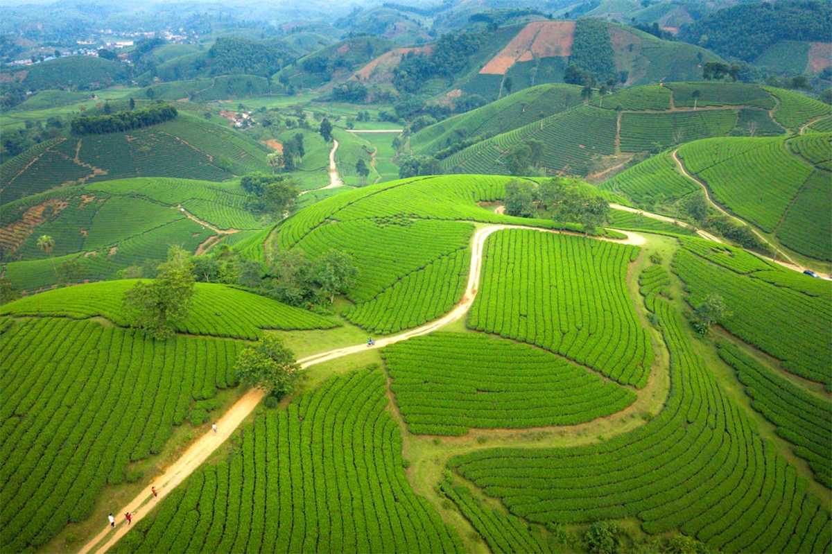 Rekomendasi 3 Rute Menuju Terasering Panyaweuyan Majalengka, Pilih yang Terdekat dari Lokasi Kamu
