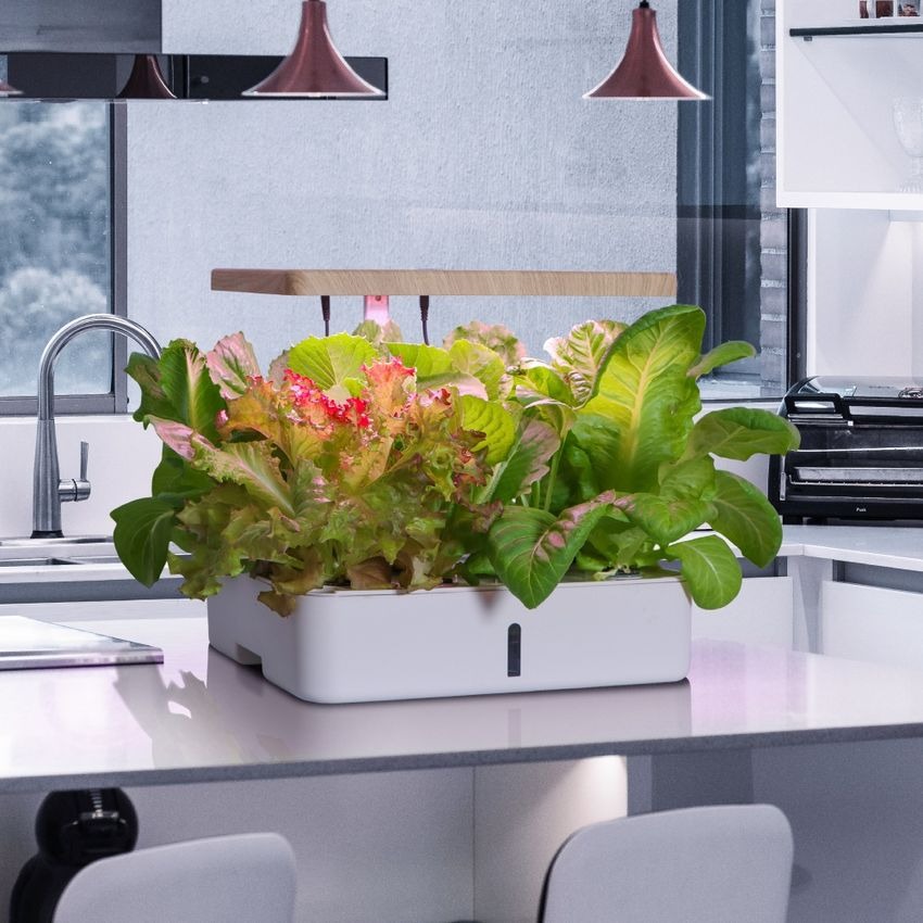 Tak Perlu Lahan Luas, AZKO Hadirkan Solusi Berkebun Modern untuk Rumah