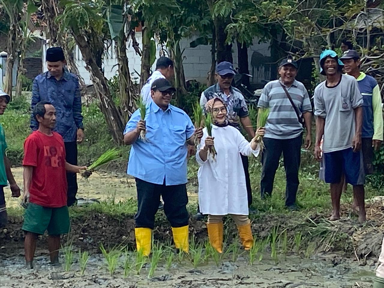 Dukung Ketahanan Pangan, George Edwin Sugiharto Tanam Padi