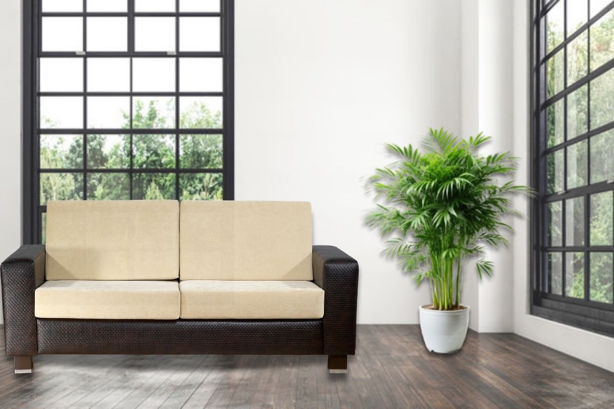 Bukan Cuma Cantik, 5 Tanaman Hias Ini Punya Bisa Bantu Jaga Kualitas Udara di Rumah!