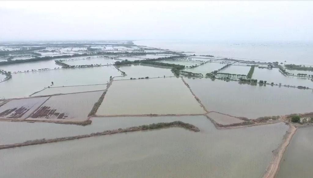 Tiga Tahun Gagal Panen, Masih Hujan dan Tambak Garam Diterjang Banjir Rob