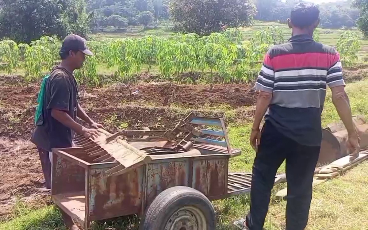 2 Mesin Traktor Digondol Maling, Petani Bingung Bibit Padi Siap Tanam