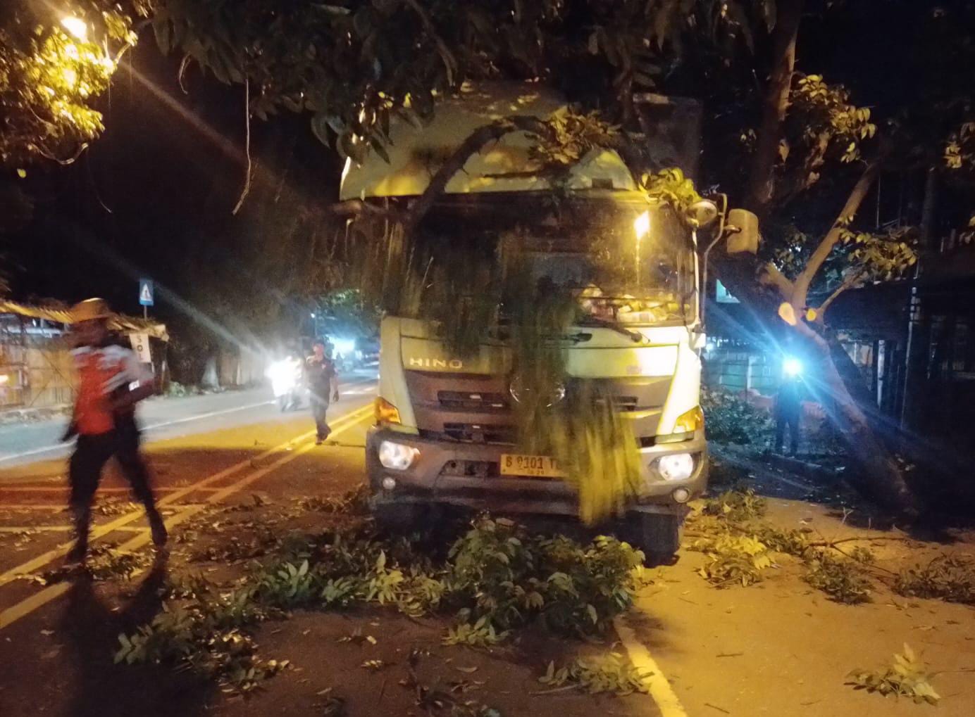 Malam-malam Jalan Diponegoro Cirebon Heboh, Pohon Besar Ambruk Timpa Truk