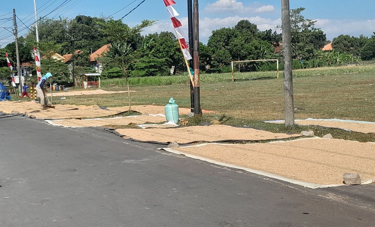 Di Kabupaten Cirebon, Harga Gabah Kering Alami Kenaikan