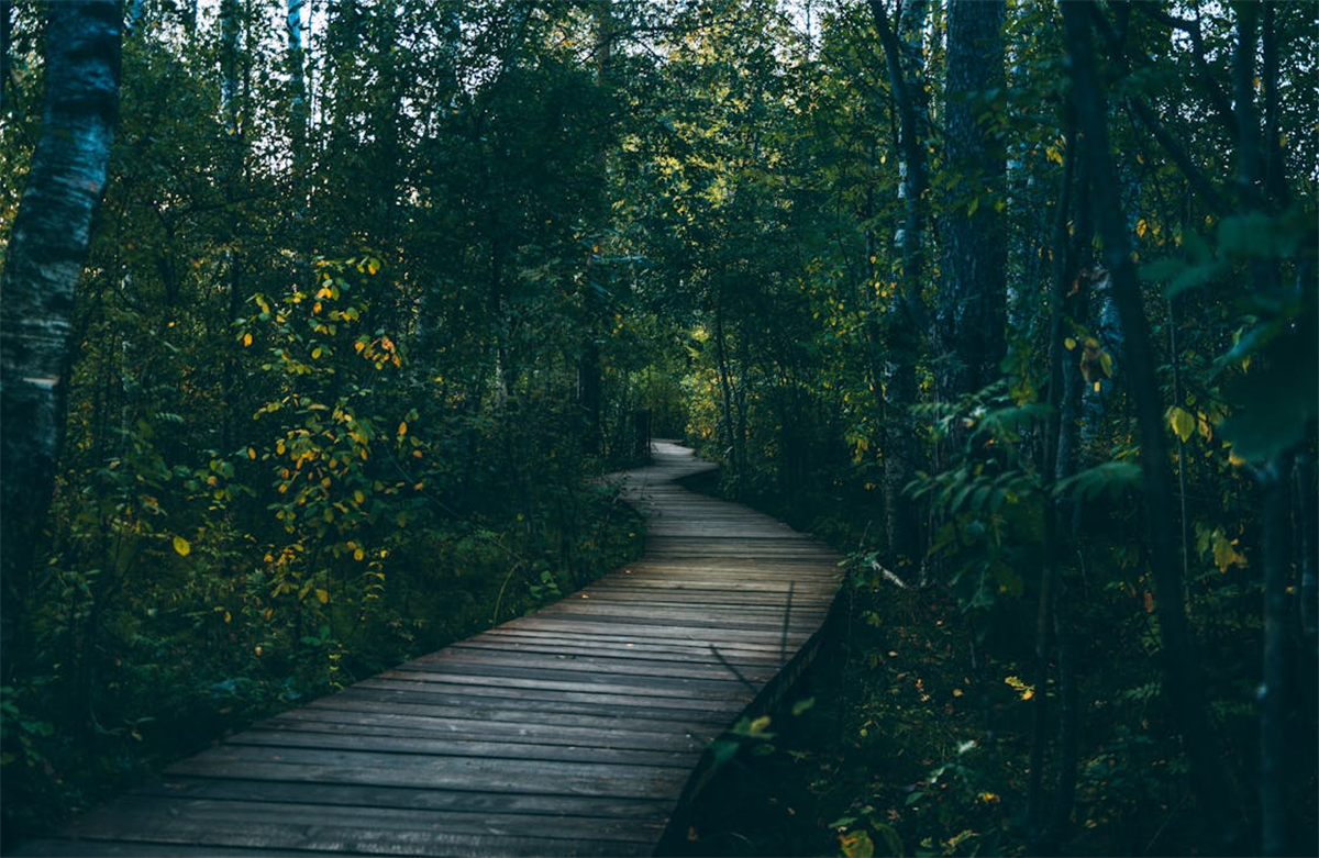 6 Tempat Wisata di Kuningan yang Wajib Masuk Daftar Liburan 2025, Ada yang Punya Wajah Baru