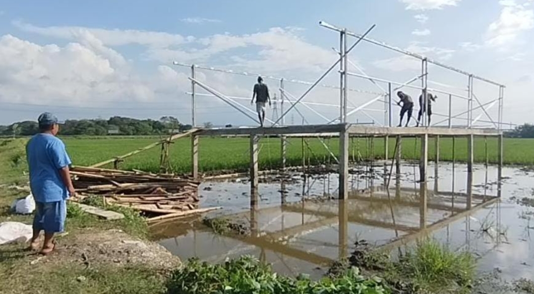 Tidak Produktif, Lahan di Mundumesigit Disulap Menjadi Kandang Ayam Petelur