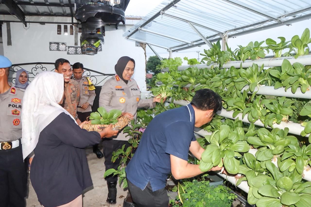 Kapolresta Cirebon Sambang Kamtibmas, Kunjungi Kebun Pekarangan Bergizi Warga di Desa Karangwangi