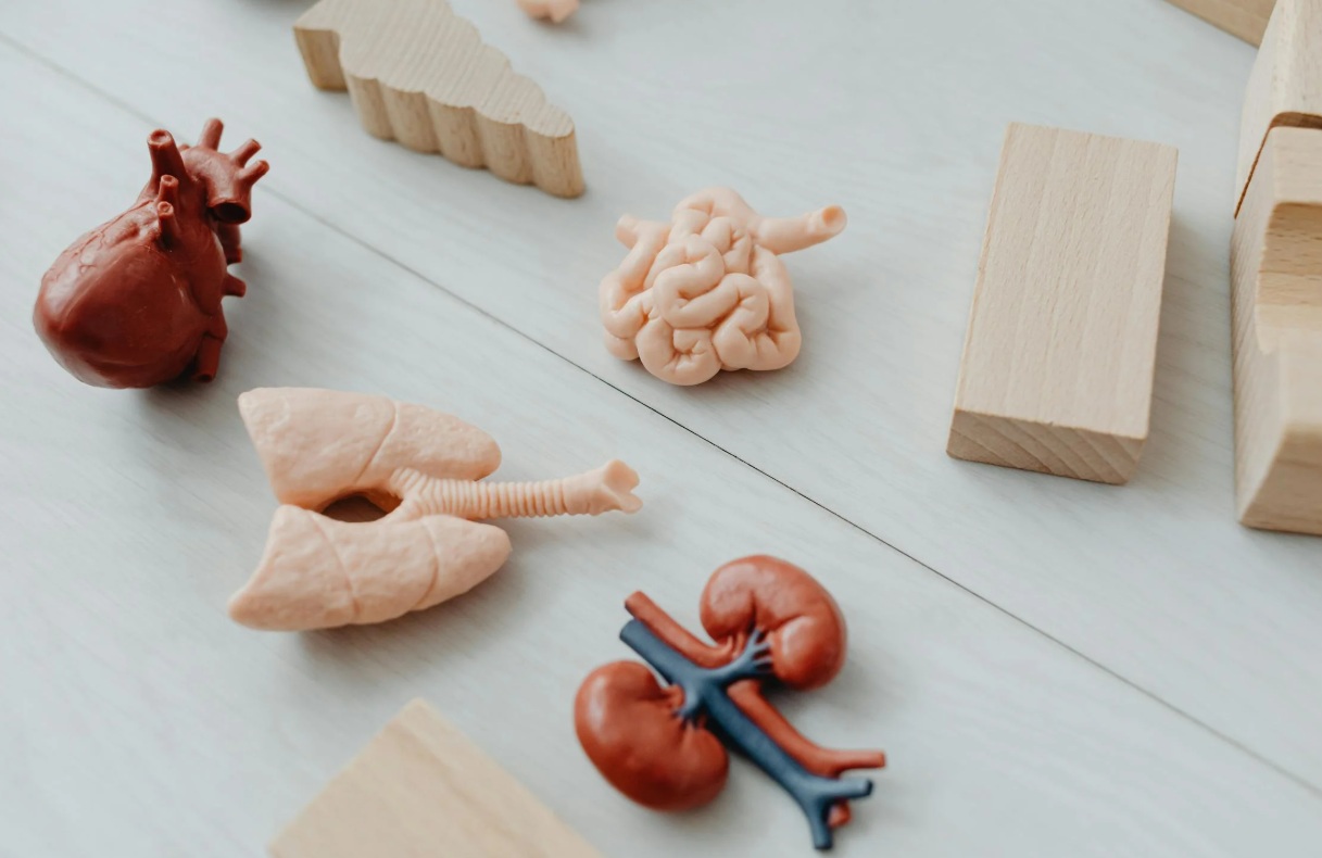 Tanda-tanda Gejala Awal Gagal Ginjal yang Sering Tidak Disadari