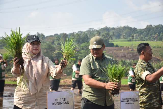 Kuningan Perkuat Ketahanan Pangan Nasional, 93 Hektare Lahan Ikut Gerakan Tanam Serempa