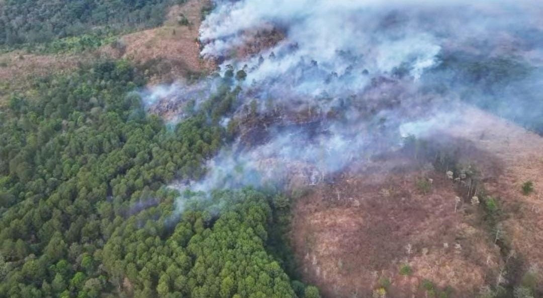 Titik Api Karhutla Gunung Ciremai Tak Terdeteksi, Petugas Fokus Pendinginan di 3 Blok