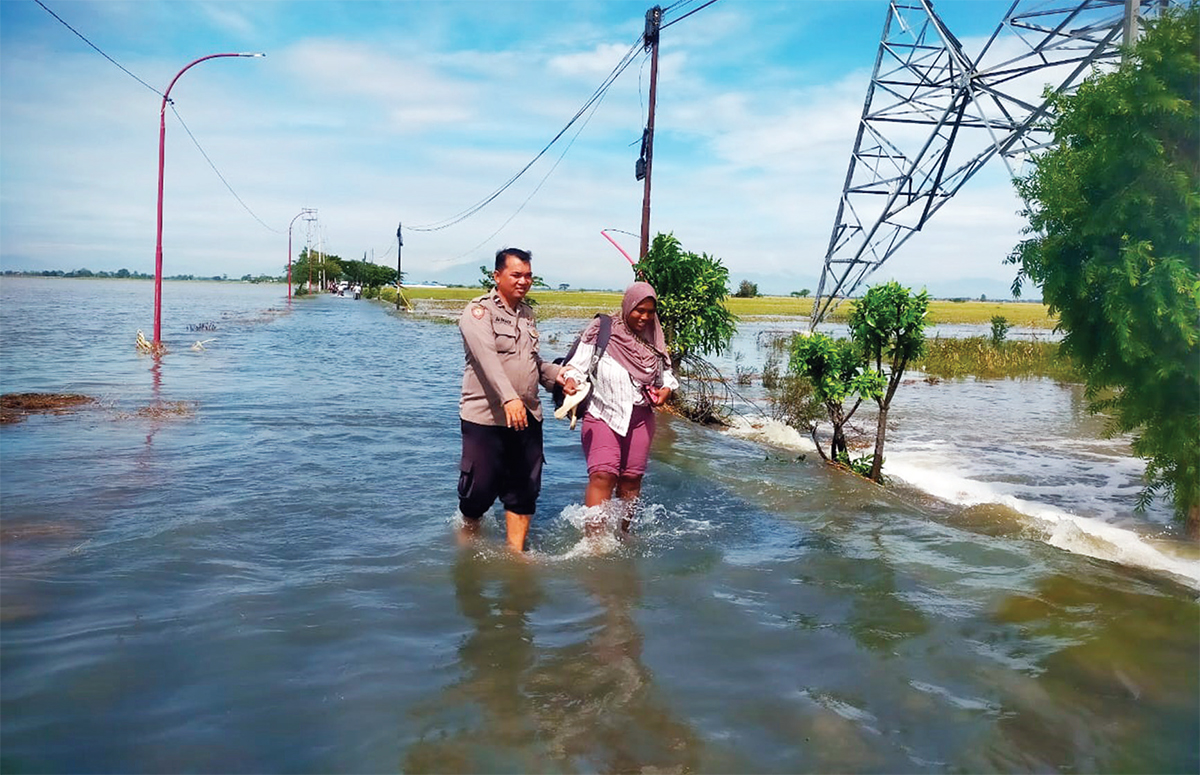 150 Hektare Sawah Terendam Banjir di Indramayu, Ternyata Ini Dia Penyebabnya