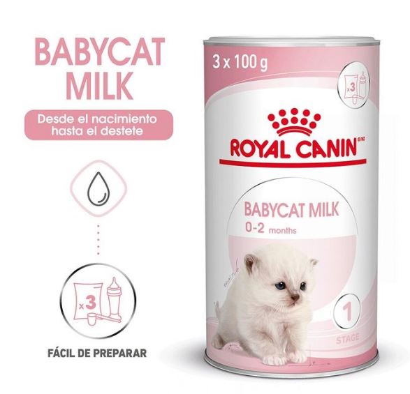 Pecinta Kucing Wajib Tahu, Inilah Kandungan Susu Royal Canin Babycat Milk 