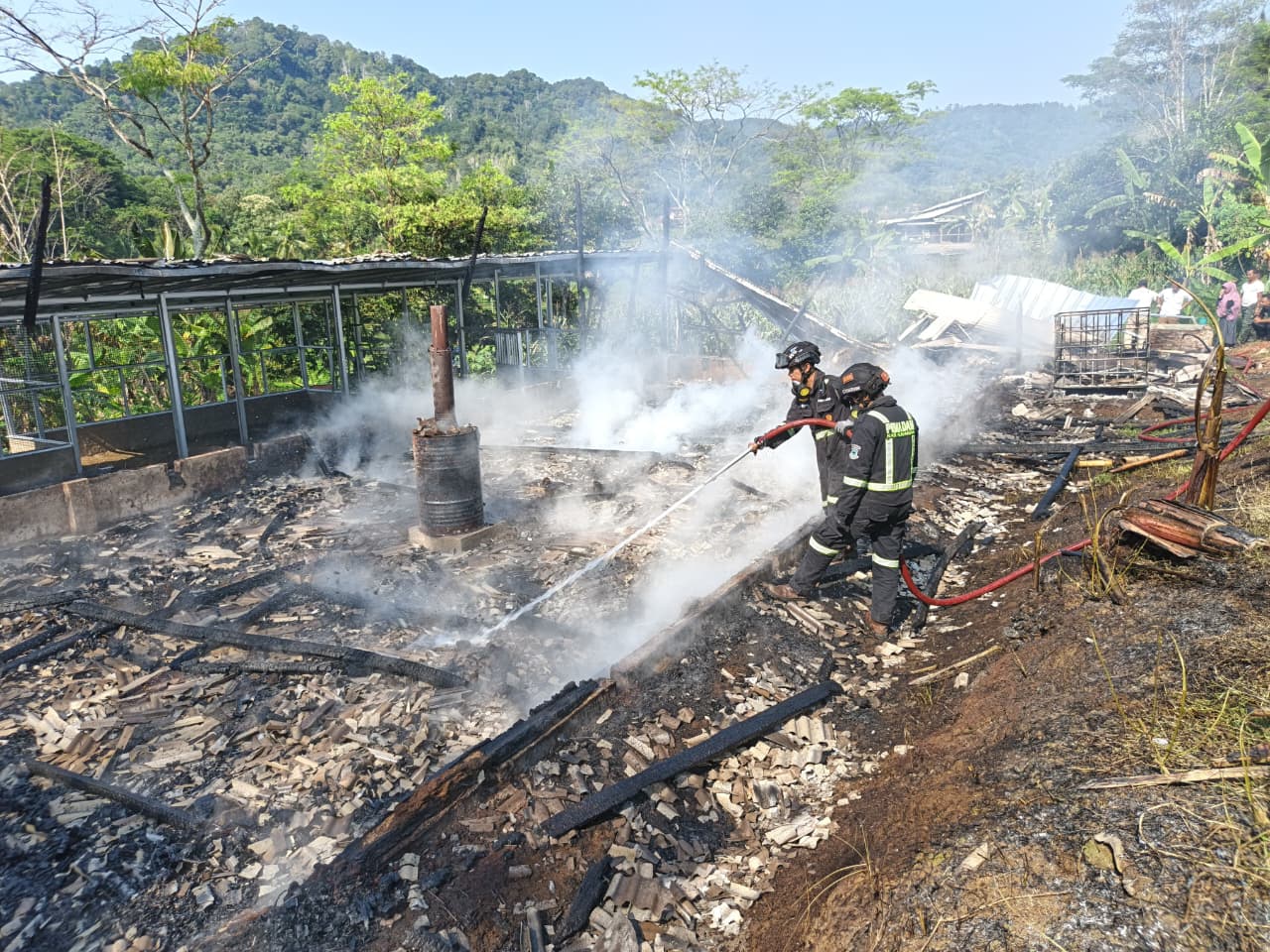 Tragedi Peternak Kuningan! Kandang Terbakar, 6.300 Bibit Ayam Mati dan Kerugian Capai Rp120 Juta