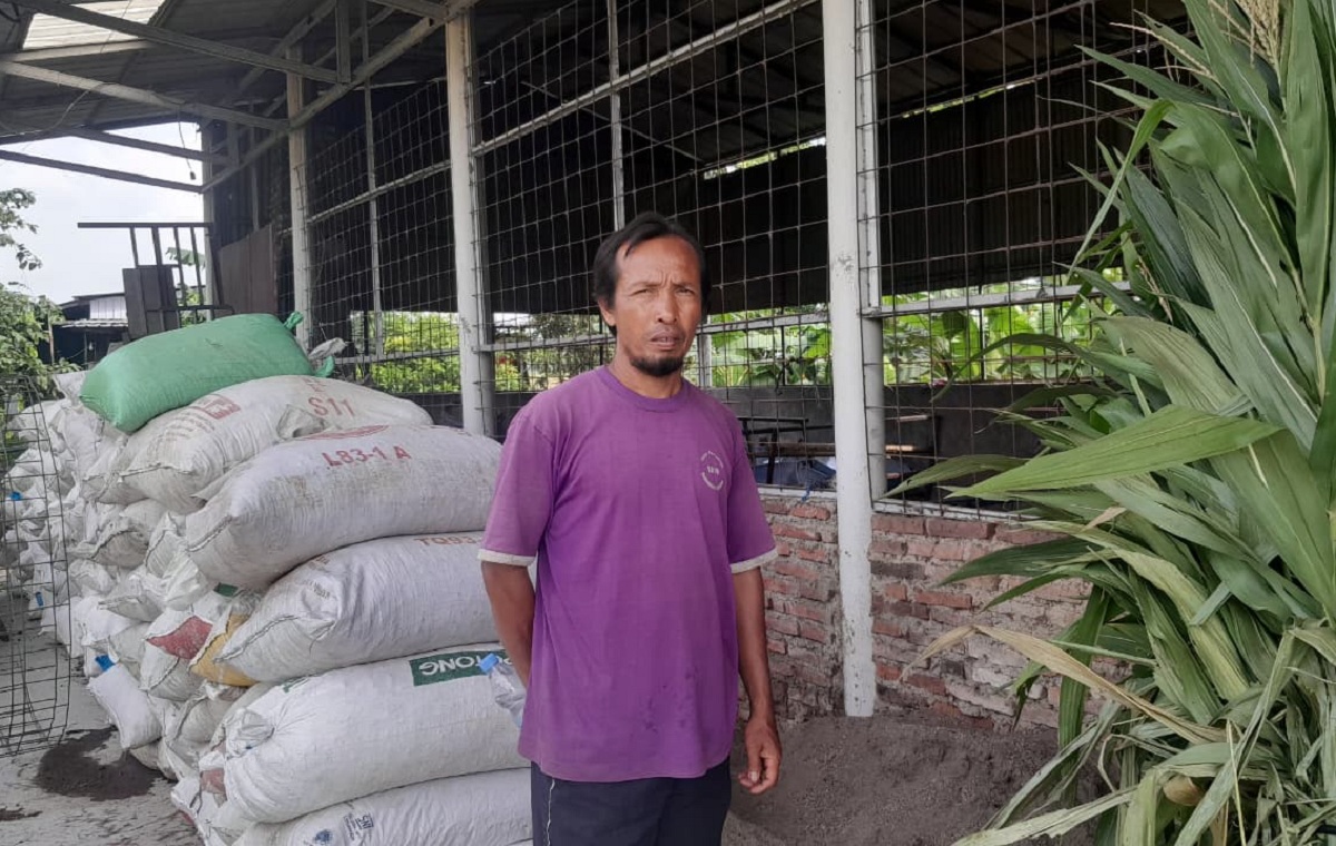 Inovasi Gapoktan Tani Makmur, Produksi Padi Meningkat hingga 30 Persen Berkat Pupuk Organik