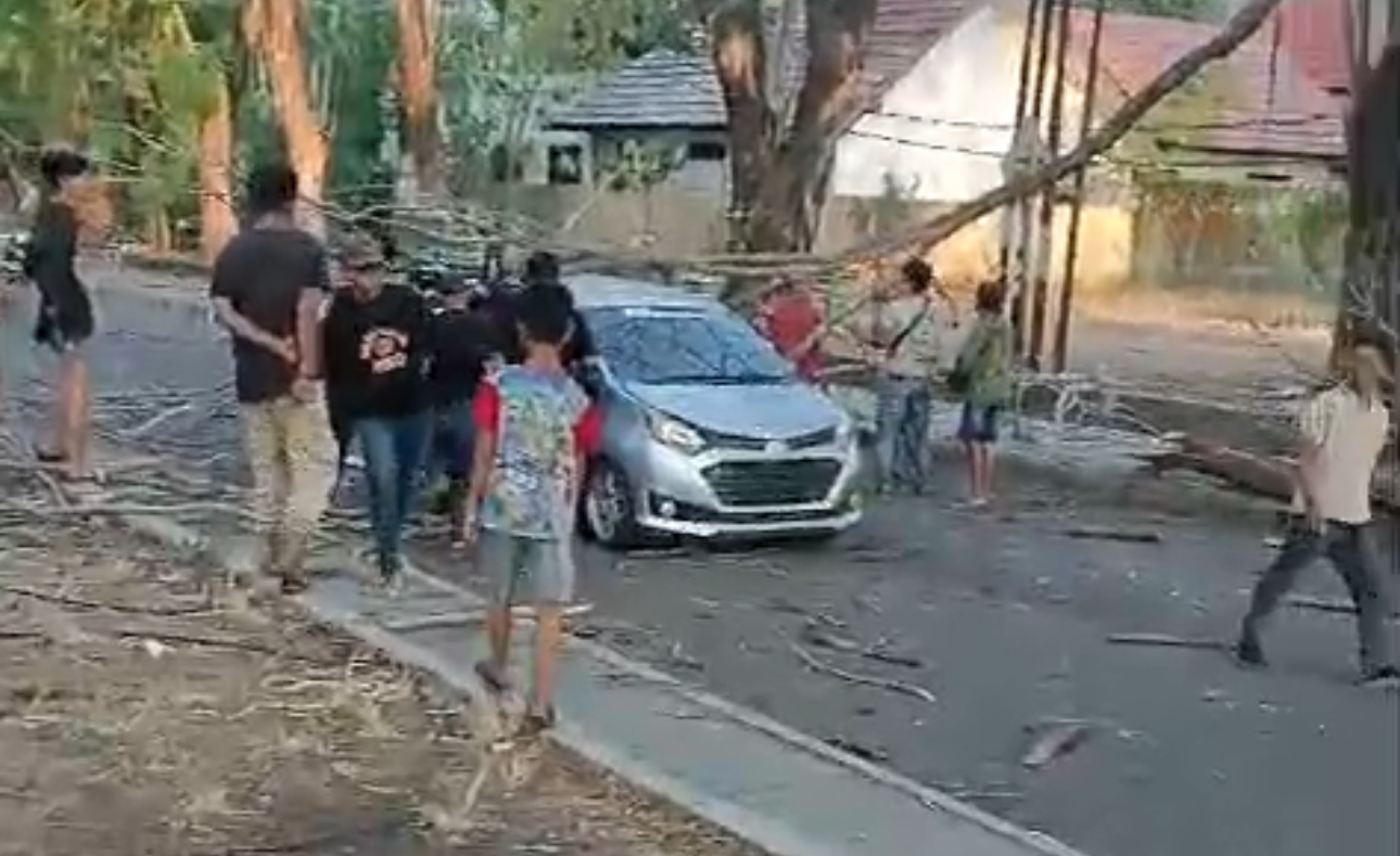 5 Pohon Tumbang, 1 Rumah Ambruk, Dampak Angin Kencang di Kota Cirebon