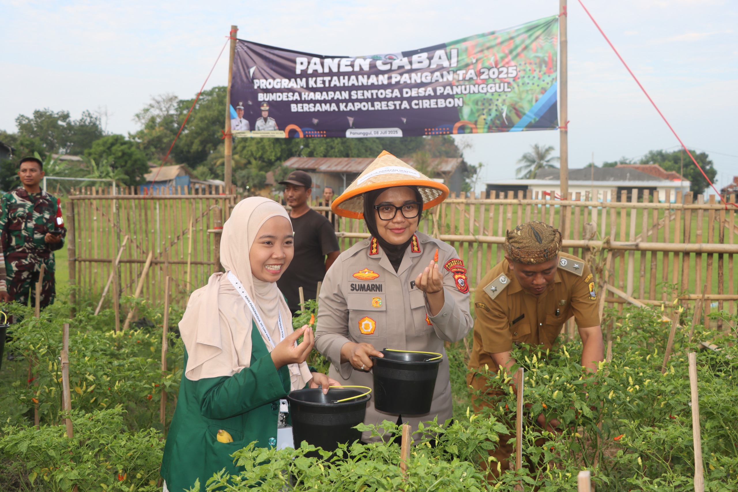 Panen Raya Cabai dan Lele di Desa Panunggul, Cirebon: Mewujudkan Ketahanan Pangan dan Masyarakat Unggul