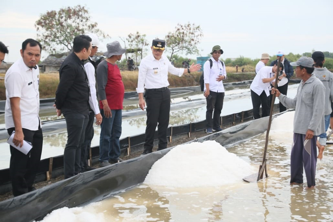 Pemkab Cirebon Terus Dorong Pengembangan Garam Industri