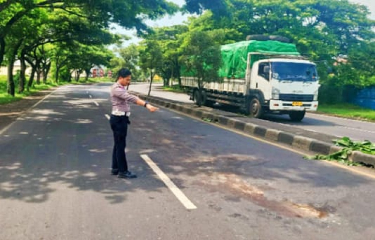 2 Orang Meninggal Kecelakaan di Pantura Cirebon, Salah Satunya PNS