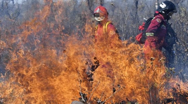 Kebakaran Hutan di Bolivia 2010 sampai Membuat Pemerintah Menghentikan Rencana Maskapai Penerbangan
