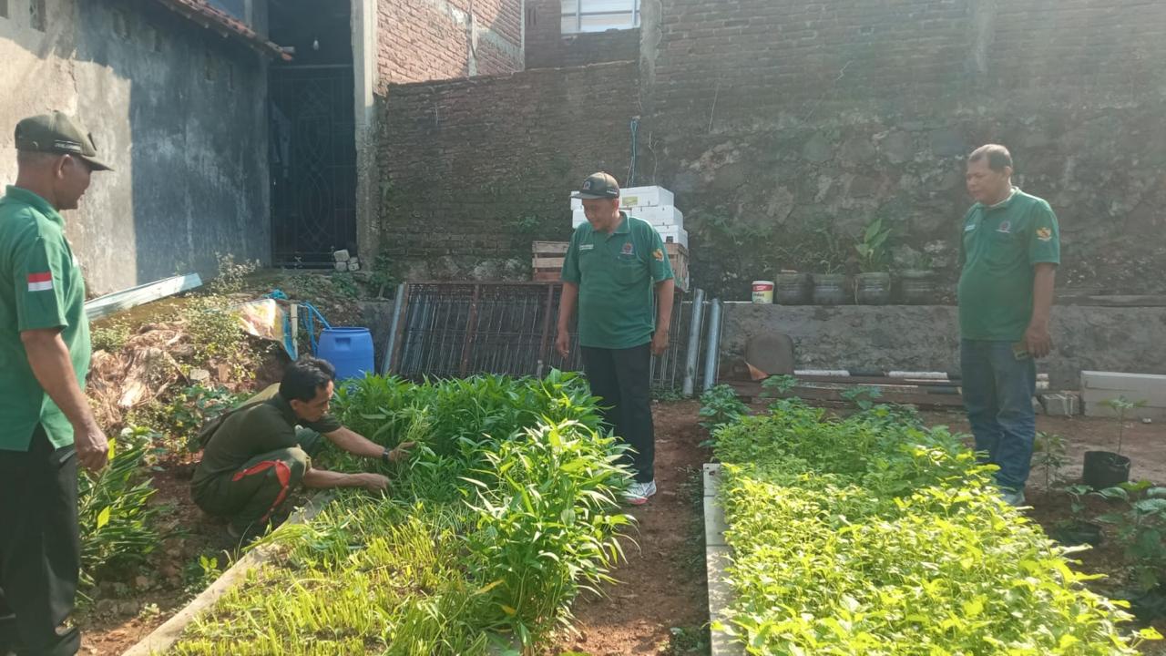 Muhammad Yani, Petani Perkotaan Sukses Manfaatkan Pekarangan Menjadi Pertanian Terpadu