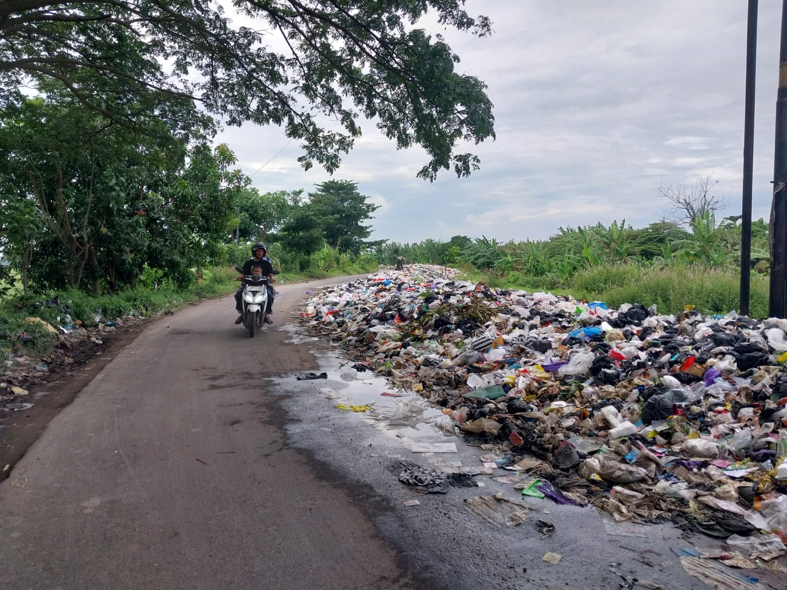 Sampah yang Bermasalah