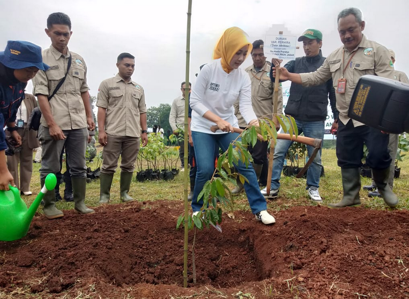 Program Tanam 1000 Pohon Buah, Atalia Ridwan Kamil Diapresiasi Ibu Negara 