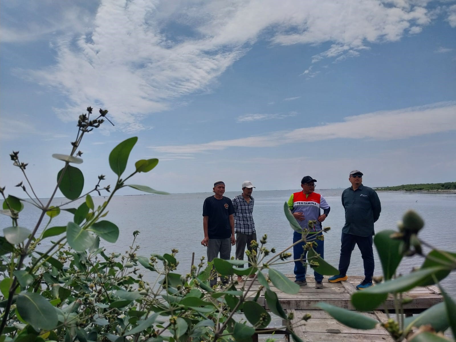 PHE ONWJ Beri Dukungan Penataan Hutan Mangrove, Bakal Disulap Jadi Objek Wisata Potensial