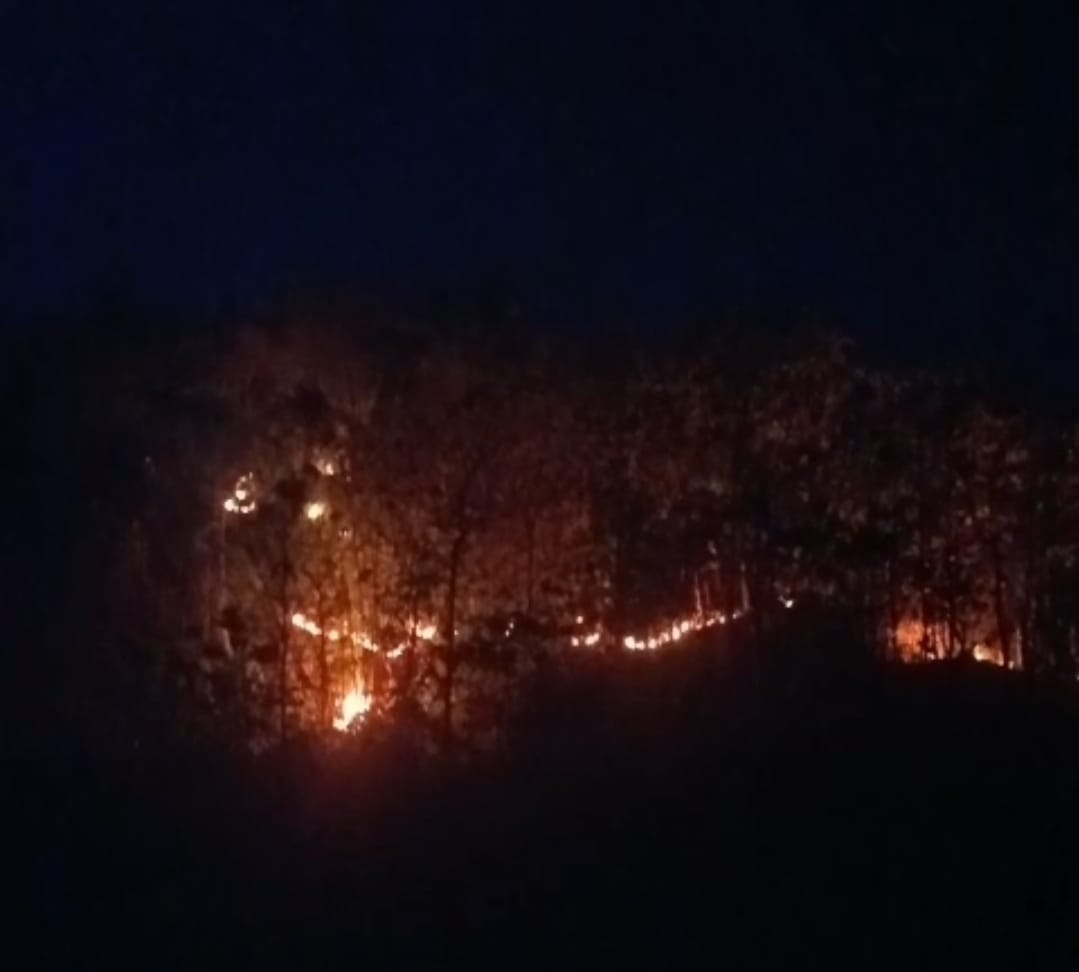 Hutan Manengteung di Cirebon Terbakar, Api Lahap Sekitar 1 Hektare di Medan Curam