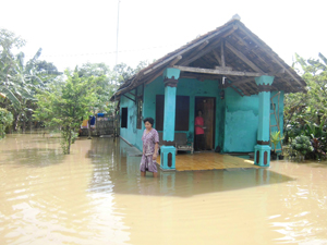 Dua Hari Rumah Warga Tergenang Banjir