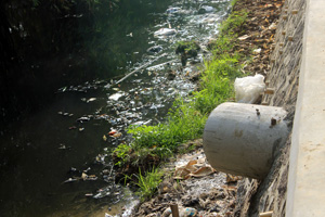Sungai Kedung Pane Tercemar