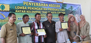 Lomba Peningkatan Produksi Padi Organik antar Kelompok Tani se-Kota Cirebon