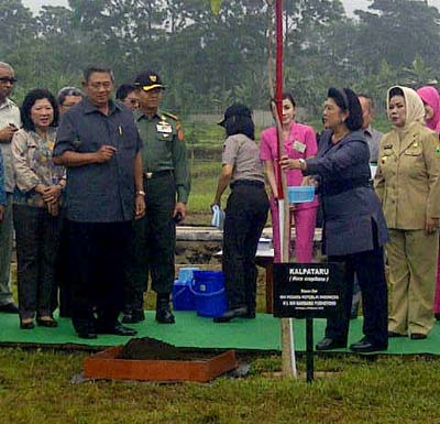 Dari Tanam Pohon, Ubi Jalar dan SBY Sumbang 200 Juta