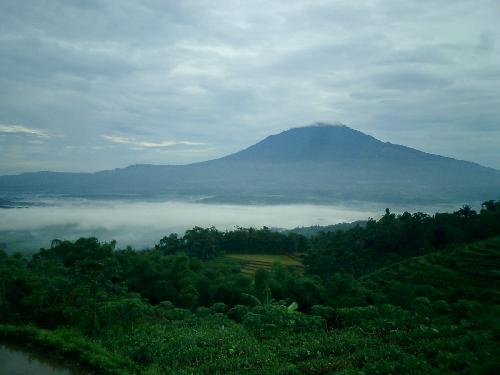 Desa Darma ‘Pos Pertahanan Terakhir’ Kerajaan Islam Cirebon