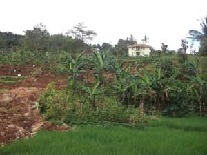 Longsor Melanda Dusun Pamulihan Desa Wanahayu