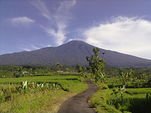 Lava Pijar Gunung Slamet Bakar Savana