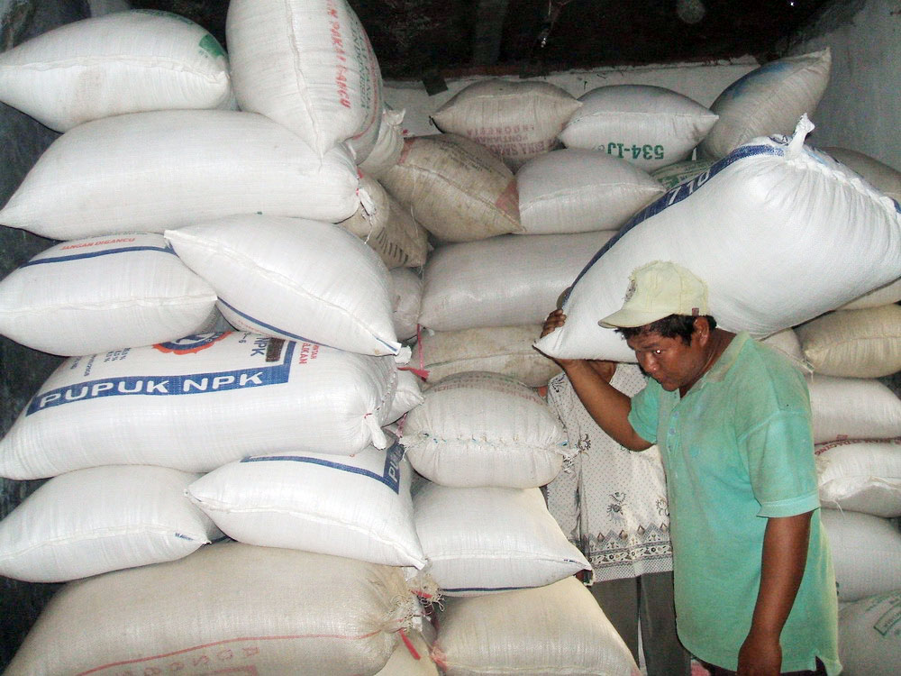 Harga Gabah Melambung, Petani Gigit Jari