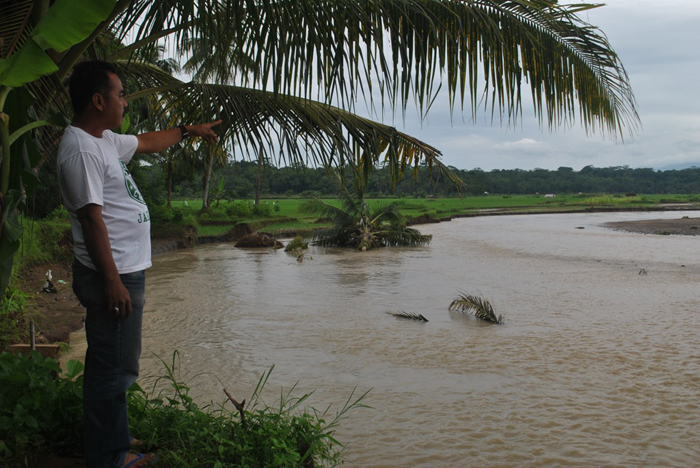 23 Hektare Sawah Terendam Banjir