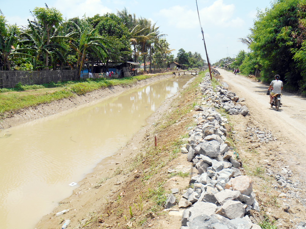 Ribuan Hektare Sawah Belum Digarap