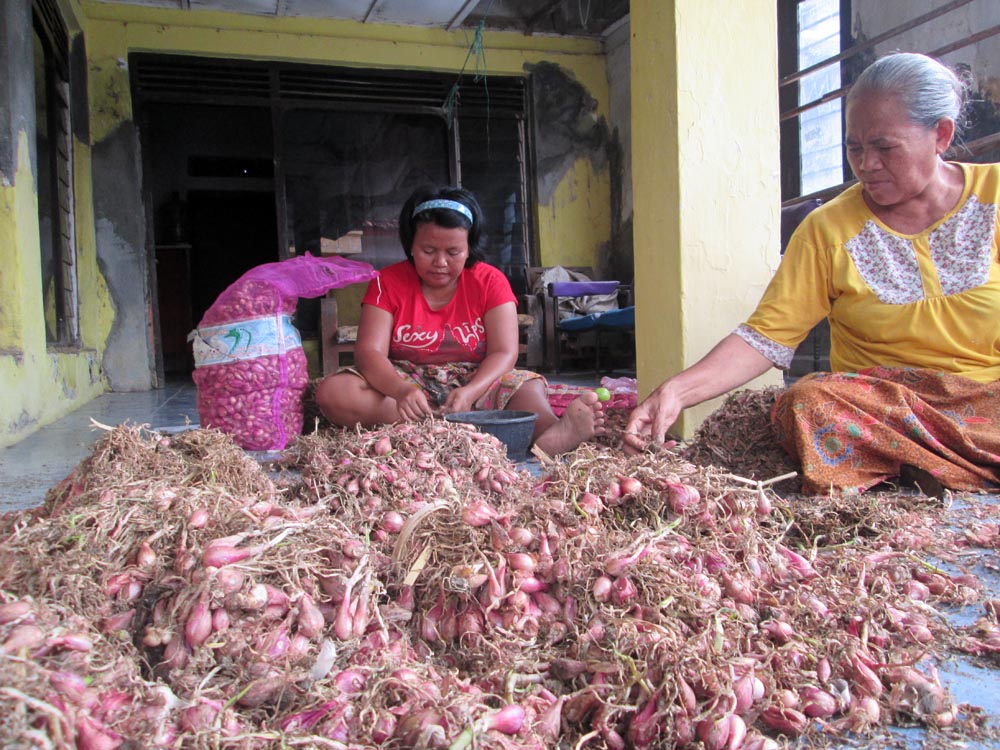 Stok Bawang Merah Sedikit, Harga Meroket