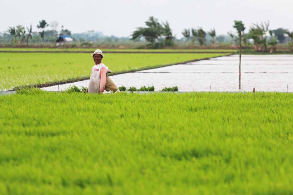 Petani Cirebon Berharap Waduk Jatigede Segera Beroperasi