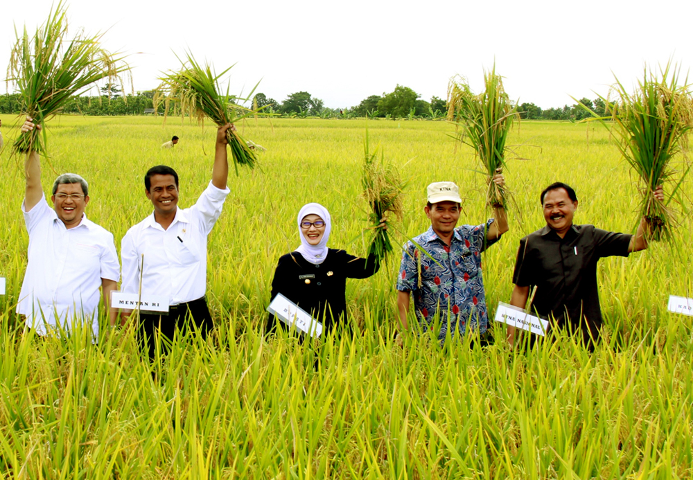 Butuh Rp6,65 T Perbaiki Infrastruktur Pertanian