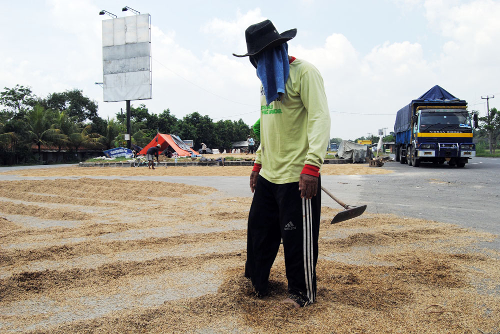 Banyak Lumpur, Petani Jemur Gabah di Jalan