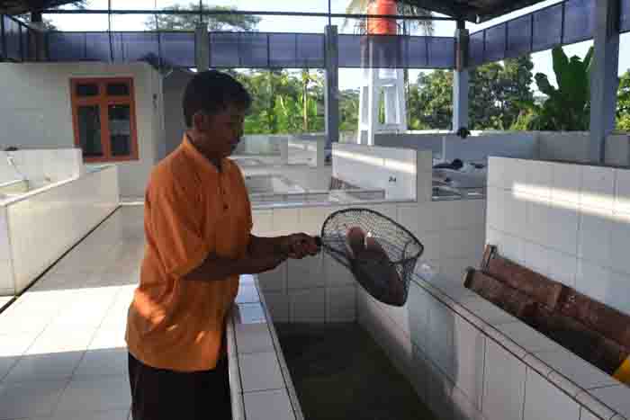 Pedagang Ikan Banjir Bantuan