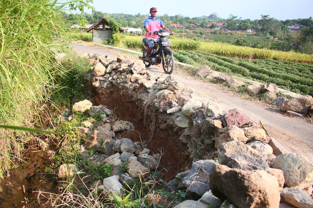 Senderan Jalan Rusak, Peternak Sapi Terganggu