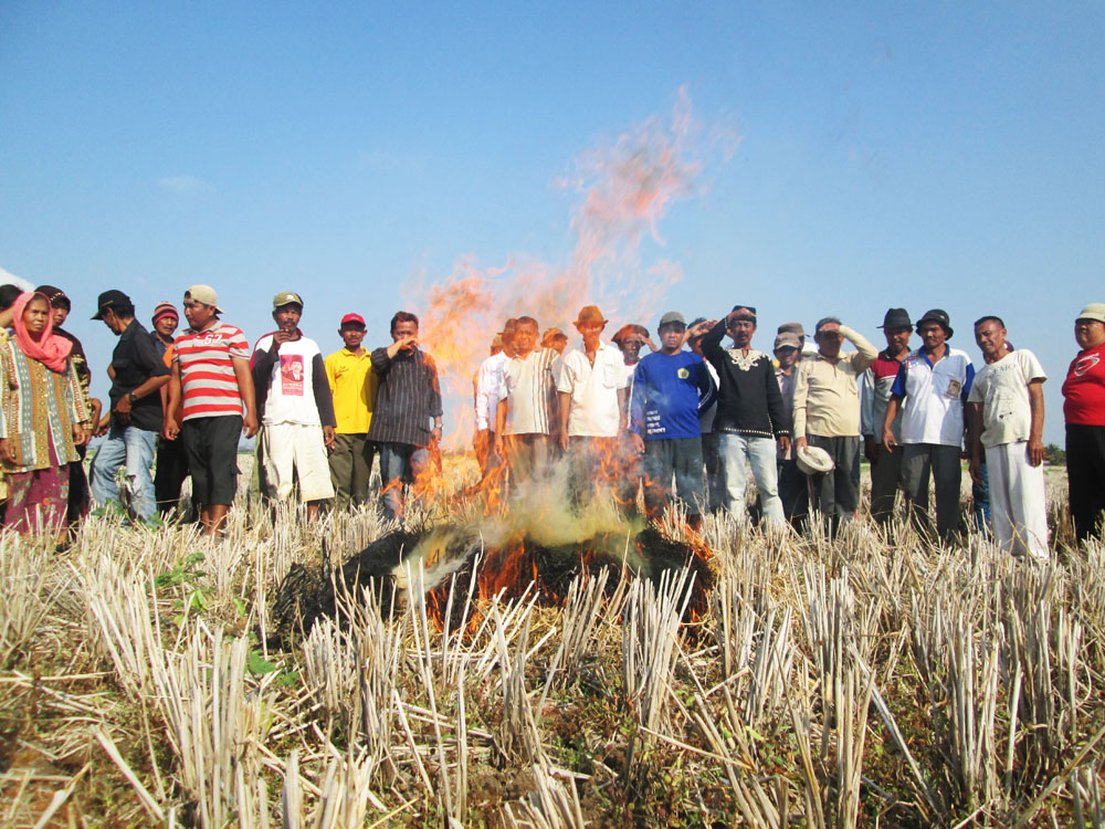 Petani Tuntut Kompensasi Gagal Panen