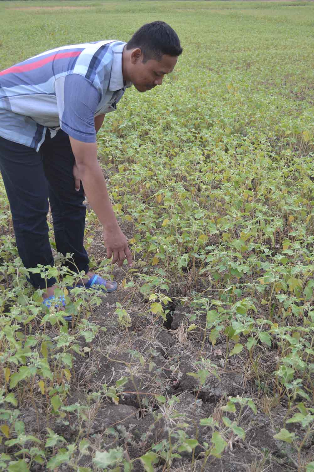 PSDAP Berlakukan Tata Gilir Air